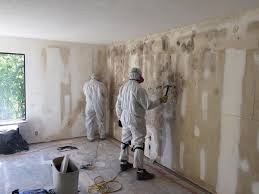 Trusted Alexandria, MN Mold Removal Experts